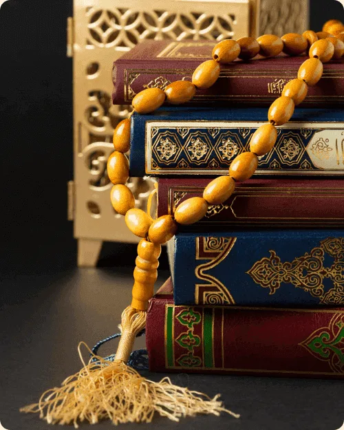 quran translation